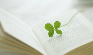 可五行属性（可五行属性查询）