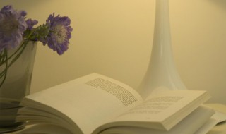 北字五行属什么（兆字五行属什么）