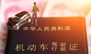 驾驶证丢失在哪里补办 驾驶证丢失在哪里补办走什么流程