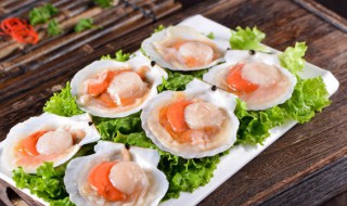 扇贝和酸奶能一起吃 扇贝可以喝酸奶吗