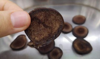 鹿茸片泡水方法 干鹿茸片泡水一般泡几次