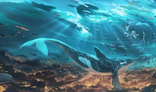 什么是鲸落 什么是鲸落为什么要跳一下