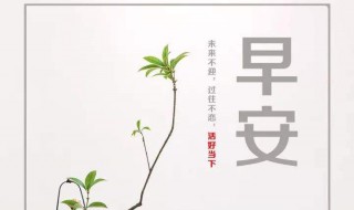 早安励志正能量句子（早安励志正能量的句子）