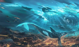 鲸落什么意思 海枯鲸落什么意思