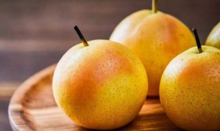 雪梨可以放冰箱吗（梨子的保存最佳方法）