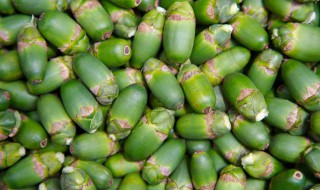 水槟榔功效（水槟榔功效作用）