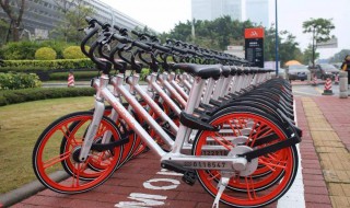 哈罗单车停在服务区外有什么影响?（哈罗单车不停在服务区要收取多少钱）