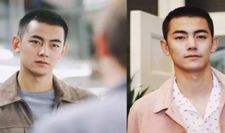 树起来的短头发叫什么发型 树的头发是什么