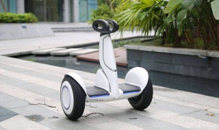 平衡车可以带上地铁吗? 平衡车可以带上地铁吗广州