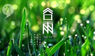 谷雨祭海的意义 谷雨祭海的意义和价值