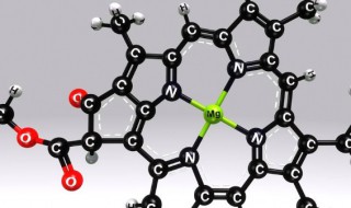 叶绿素的简单结构 叶绿素的结构是怎样的
