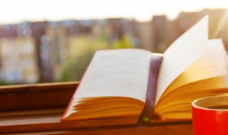 赞赏别人的通用语录(赞赏别人的句子怎么说)