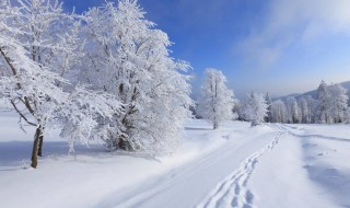 适合雪天自己的心情语录 雪天心情句子