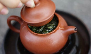 永春茶属于什么茶（永春茶怎么样）