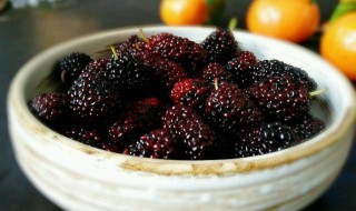 衣服上的桑葚汁用什么能洗掉（衣服上弄上桑葚汁怎么快速去掉）