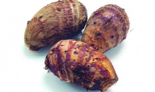 芋头有沙虫吃如何处理(芋头有沙虫吃如何处理好)