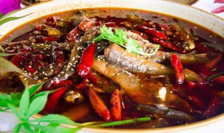 如何整泥鳅吃（泥鳅怎么进食）