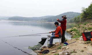 清明后好钓鱼吗（清明后钓鱼好钓吗）