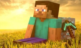 我的世界是单机游戏吗（我的世界是单机游戏还是联机游戏）