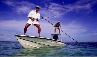 新手怎么组装路亚线组（路亚怎么装线和饵）