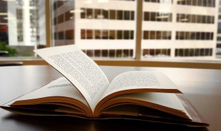 简单致美意思是什么 简单即美的意思是什么