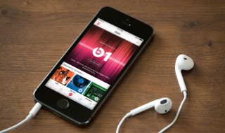 苹果手机app升级后打不开怎么办（苹果手机升级后app不能用）