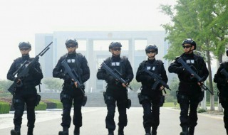 凌云电视剧叫什么名字 凌云电视剧叫什么名字来着