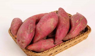 红薯是蔬菜吗（红薯的好处和作用）