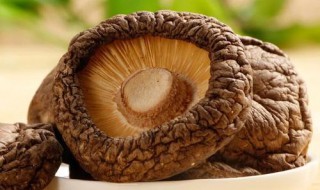 干蘑菇泡好了放冰箱几天能吃吗 干蘑菇泡好了放冰箱几天能吃吗