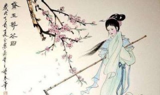 红楼梦 红楼梦讲了一个什么故事