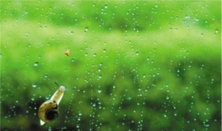 春天的雨和夏天秋天的雨有什么不同 春天的雨和夏天秋天的雨有什么不同呢