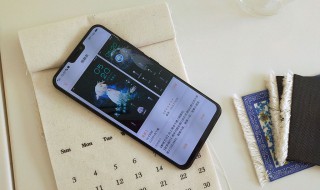 vivox20如何关闭开发者模式（vivo x21如何关闭开发者模式）