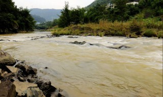 浑水变清水需要什么东西 浑水变清水需要什么东西才能沉淀