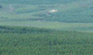 塞罕坝林场的历史 塞罕坝林场的历史冯程本人是谁