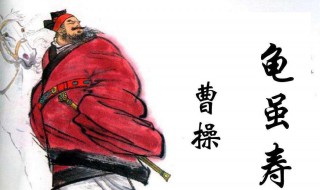 龟虽寿古诗的意思（龟虽寿这首古诗的意思）