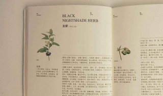 清代汉字与现代有什么不同 清代汉字与现代有什么不同之处