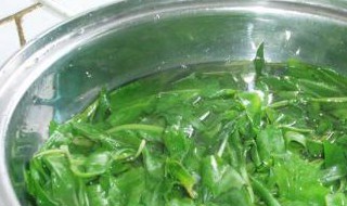 焯水的苦菜在冰箱保存多久 苦菜焯水后怎么保存