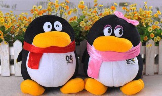 qq可以加多少好友（qq批量加好友软件）