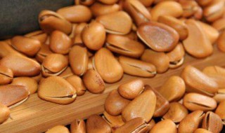 松子每天吃多少合适(松子每天吃多少合适?)