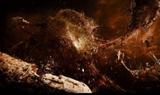 男主角穿越到天鹰国的小说书名（主角穿越成鹰的小说）