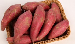 二月的红薯可以吃吗（二月份的红薯）