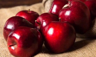 孕初期可以吃蛇果吗 孕初期能吃蛇吗