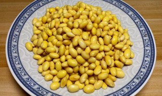 煮熟的黄豆怎么做最好吃 煮熟的黄豆怎么做才好吃