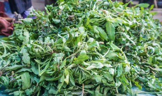 剖宫产可以吃荠菜吗 剖宫产可以吃芥菜吗