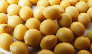 大豆什么时候控旺 大豆什么时候控旺最好