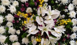 通用挽联 男女通用挽联