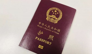 没有护照怎么回国 在迪拜没有护照怎么回国