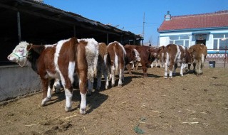 KN和KG的关系怎么换算? kn和kg的关系怎么换算出来