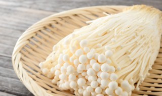 香菇涩口是为什么 香菇很苦是怎么回事