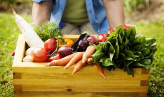 室内可以种蔬菜吗（室内可以种蔬菜吗风水好吗）